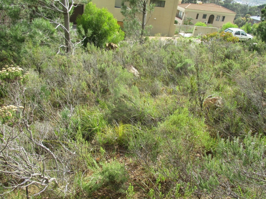 0 Bedroom Property for Sale in Mountainside Western Cape